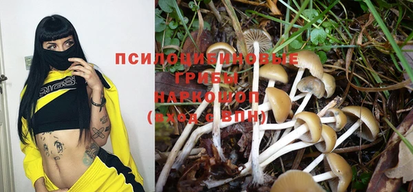 крисы Алзамай