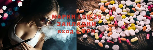 крисы Алзамай