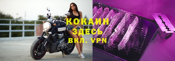 крисы Алзамай