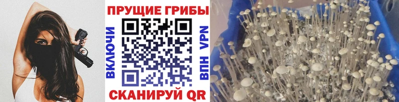 Псилоцибиновые грибы мухоморы  Котлас 