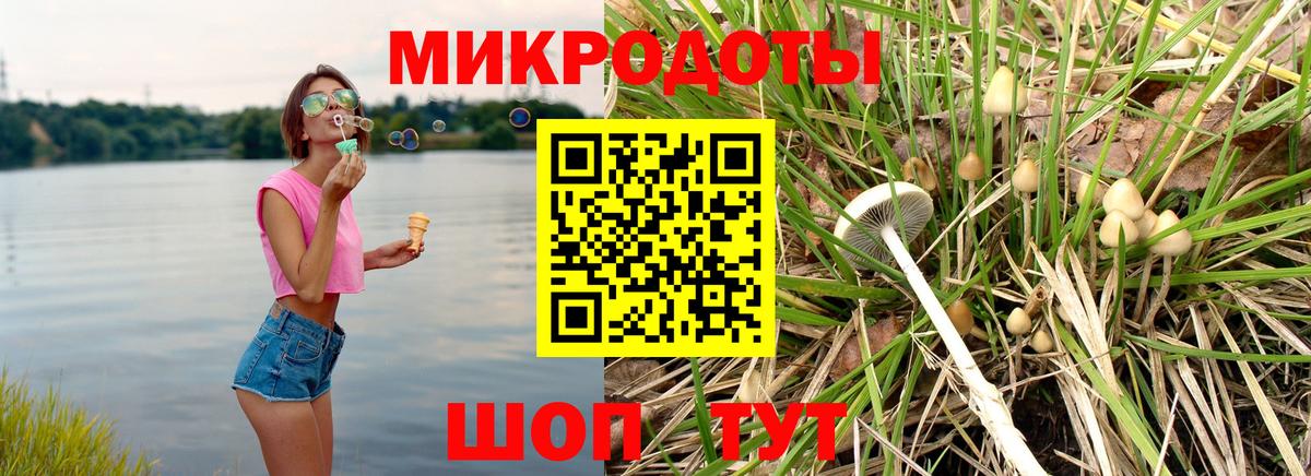 Псилоцибиновые грибы мухоморы  Псилоцибиновые грибы Magic Shrooms  Вход с VPN  купить закладку  Котлас 
