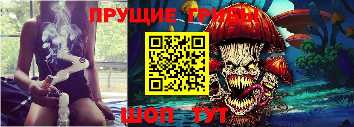 Псилоцибиновые грибы прущие грибы Котлас